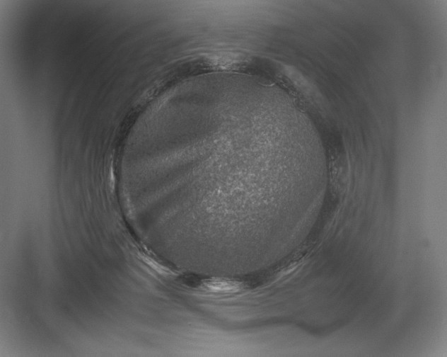 X0000082990221200702160032