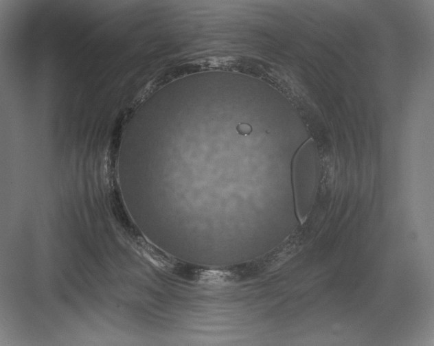 X0000082990222200702160032