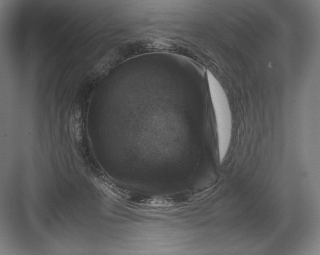 X0000082990223200702160032