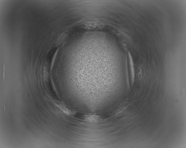 X0000082990226200702160032