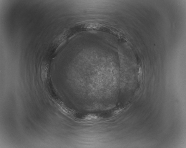 X0000082990227200702160032