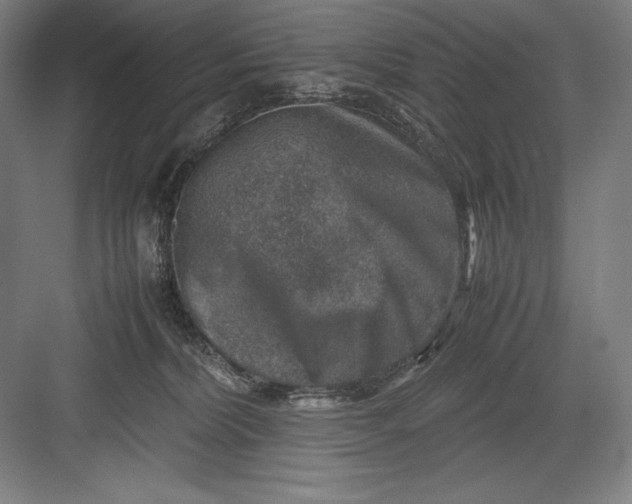 X0000082990228200702160032