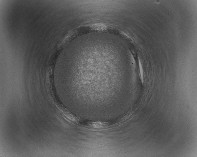 X0000082990229200702160032