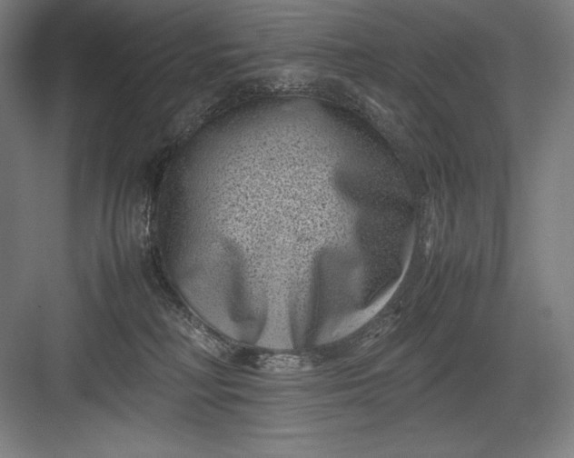 X0000082990230200702160032