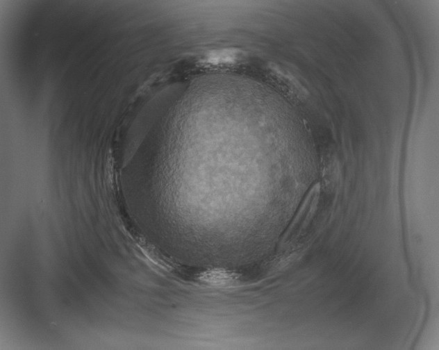 X0000082990231200702160032