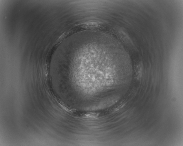 X0000082990232200702160032