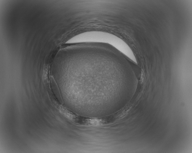 X0000082990233200702160032