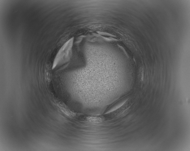 X0000082990234200702160032