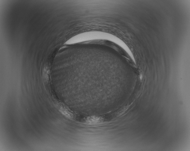 X0000082990235200702160032