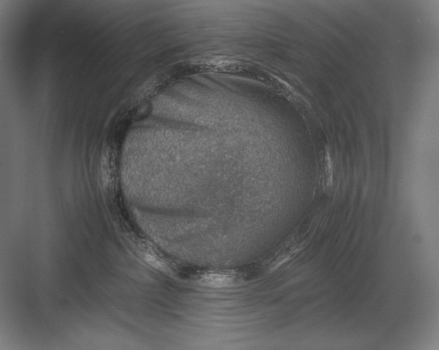 X0000082990236200702160031