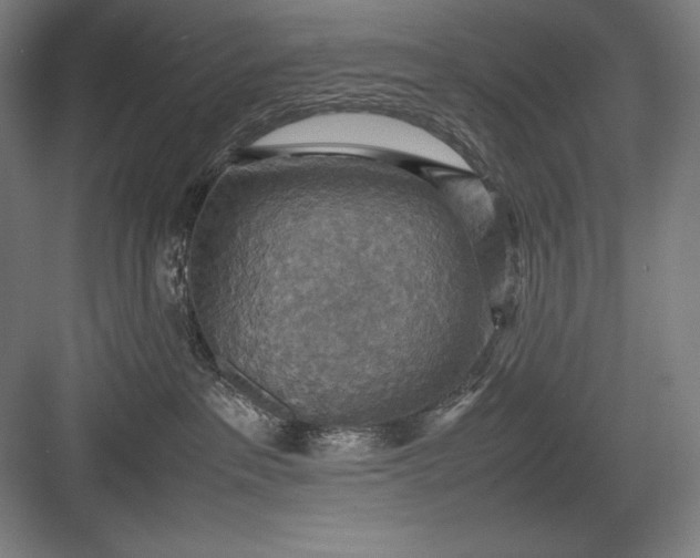 X0000082990237200702160031