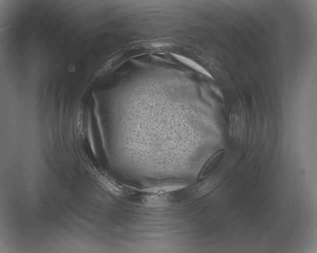 X0000082990238200702160031