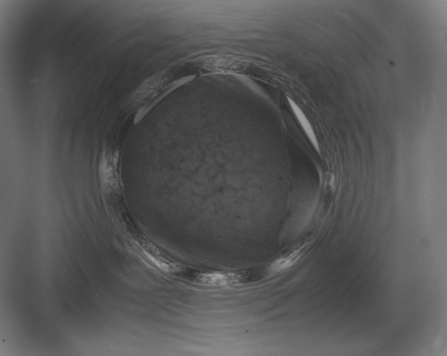 X0000082990239200702160031