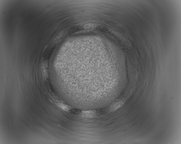 X0000082990240200702160031