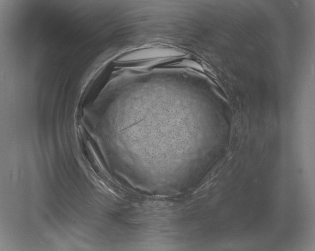 X0000082990242200702160031