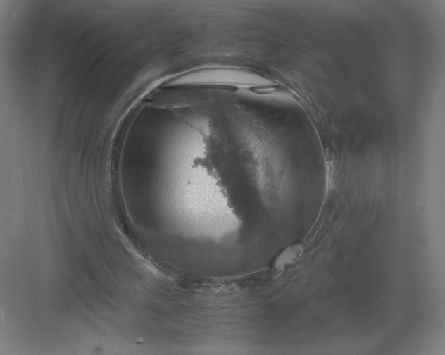 X0000082990243200702160031