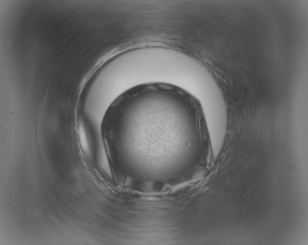 X0000082990244200702160031