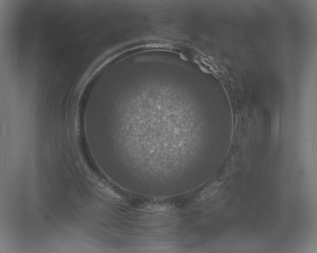 X0000082990247200702160031