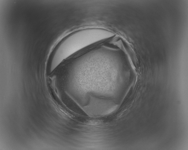 X0000082990248200702160031