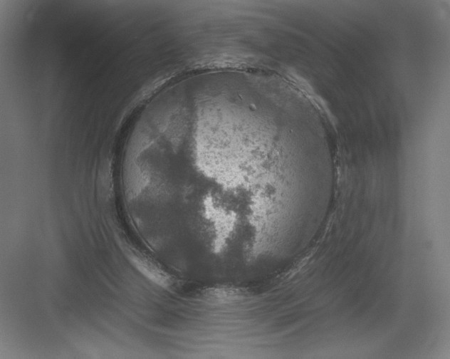 X0000082990250200702160031