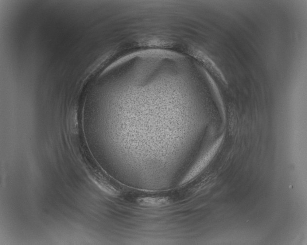 X0000082990251200702160031