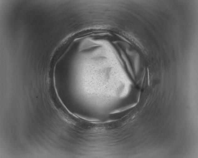 X0000082990252200702160031