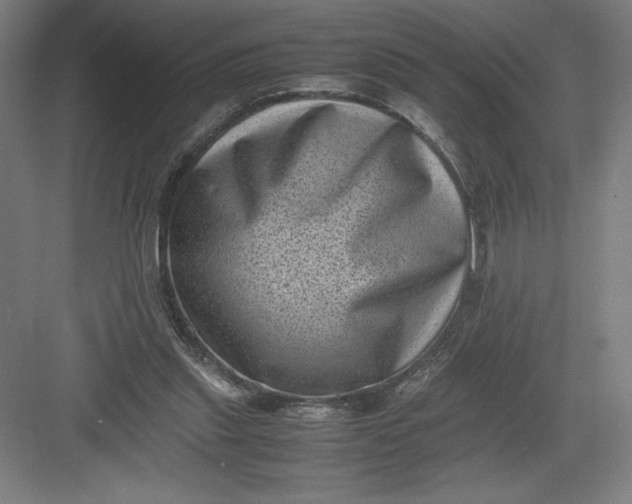 X0000082990253200702160031