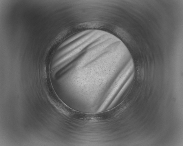 X0000082990254200702160031