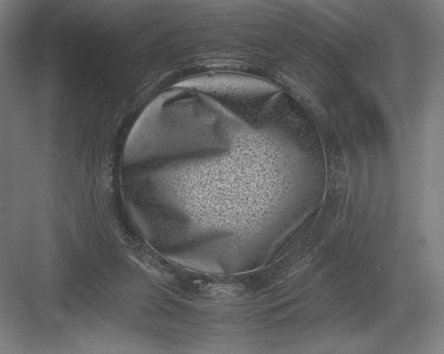 X0000082990255200702160031