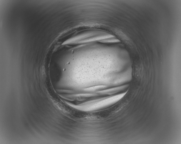 X0000082990256200702160031