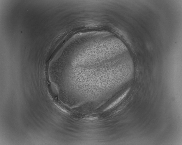 X0000082990257200702160031