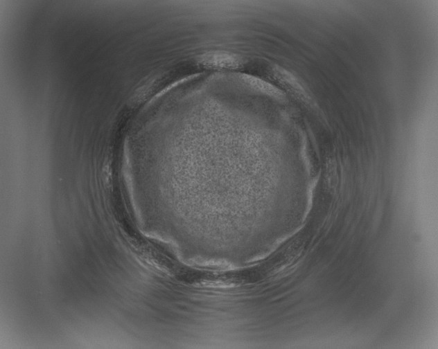 X0000082990259200702160031