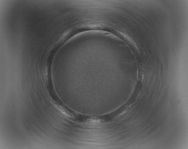 X0000082990260200702160031