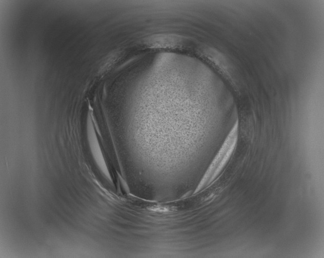 X0000082990261200702160031