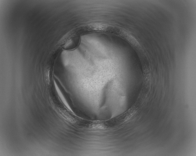 X0000082990262200702160031