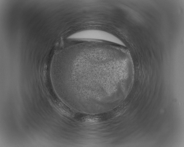 X0000082990263200702160031