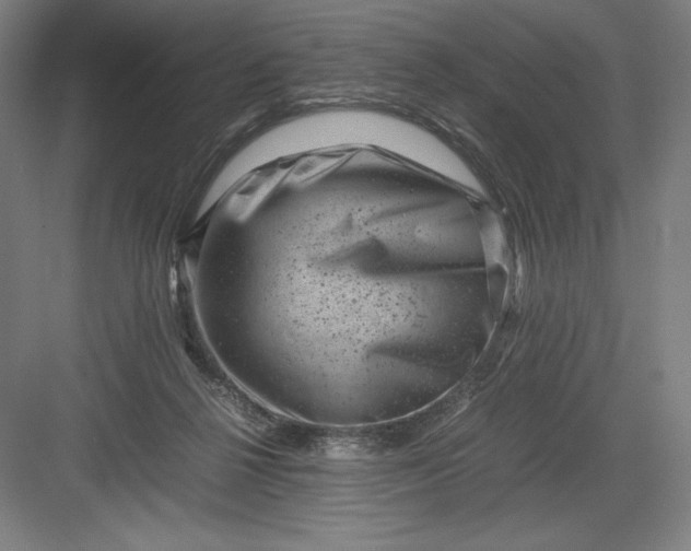 X0000082990264200702160031