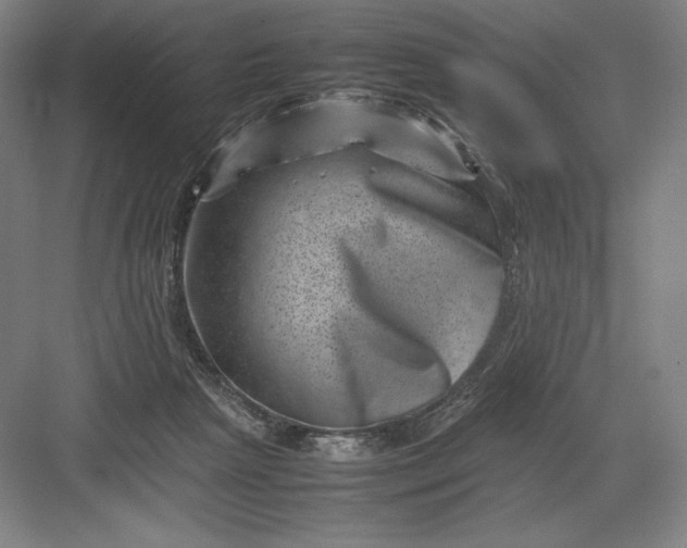 X0000082990265200702160031