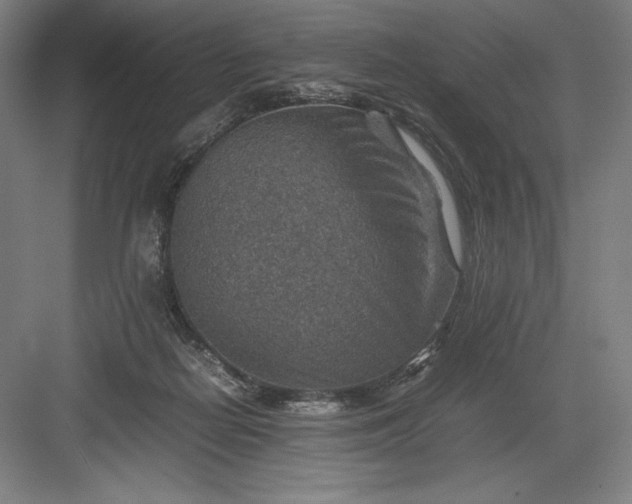 X0000082990266200702160031