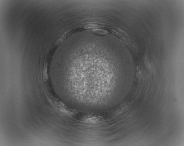 X0000082990267200702160031