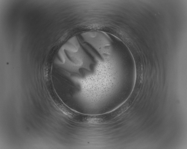 X0000082990268200702160031