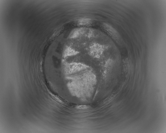 X0000082990269200702160031