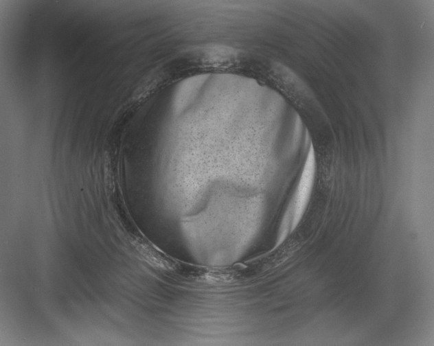 X0000082990270200702160031