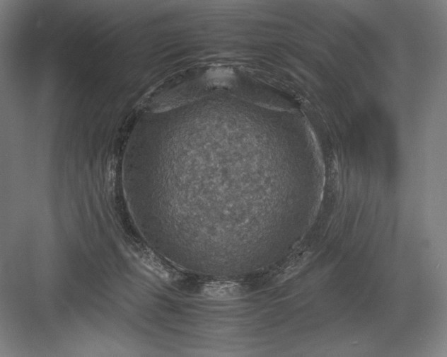 X0000082990271200702160031