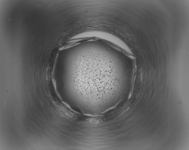 X0000082990272200702160031