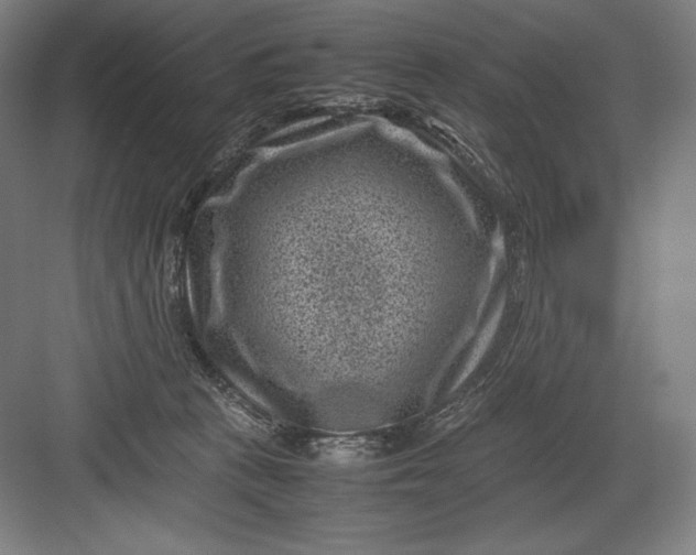 X0000082990273200702160031