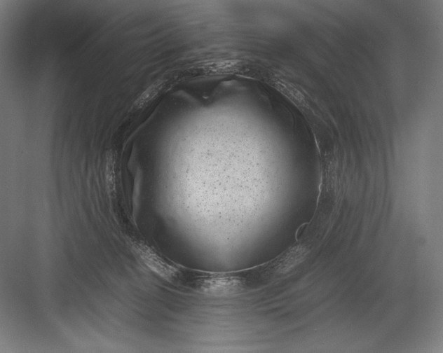 X0000082990274200702160031