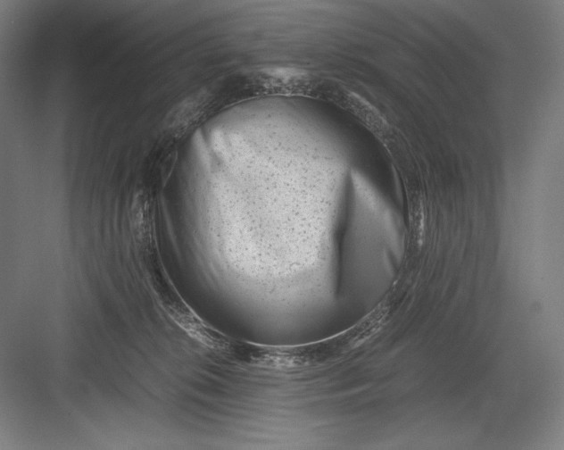 X0000082990276200702160031