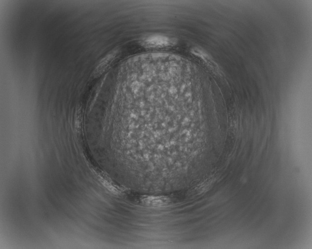 X0000082990277200702160031