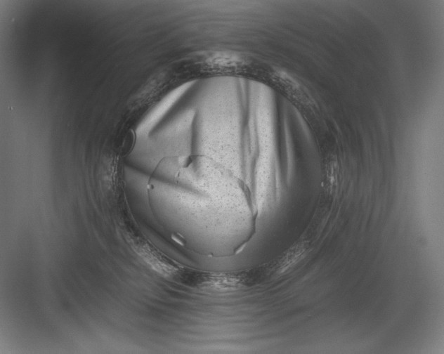 X0000082990278200702160031